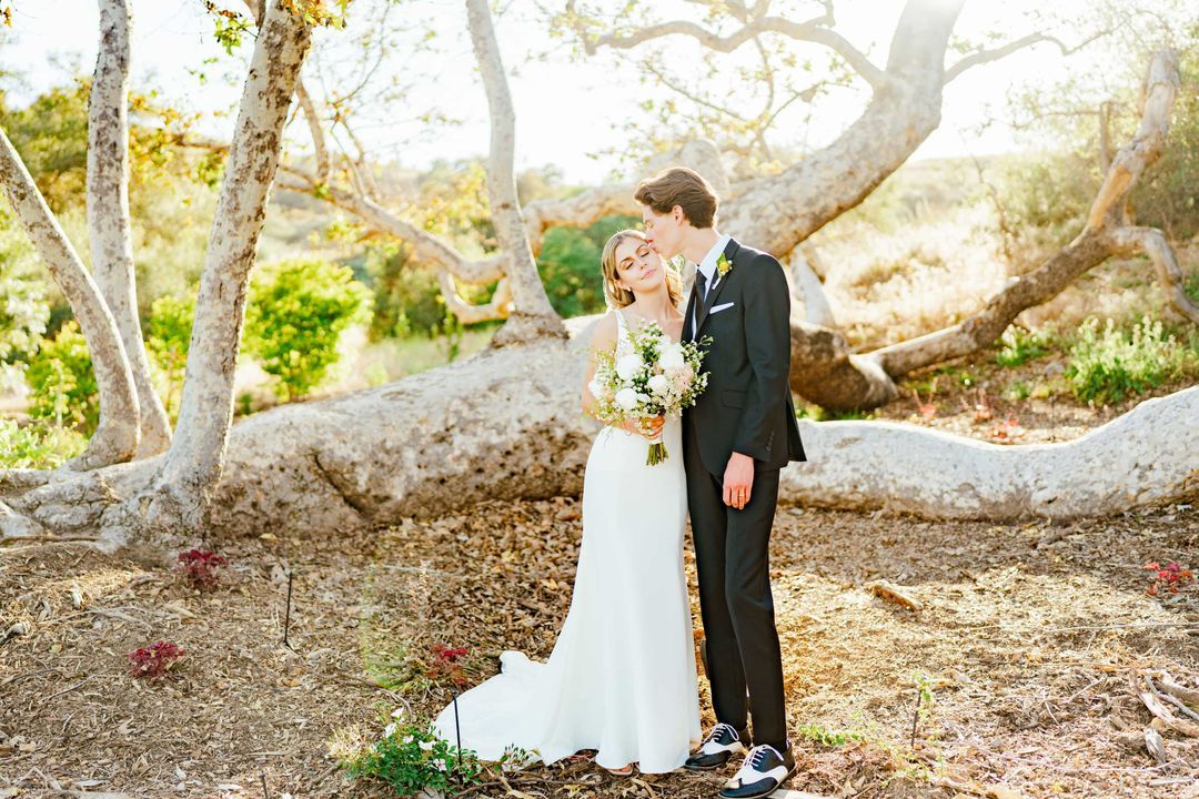 Pareja de recien casados bajo un arbol